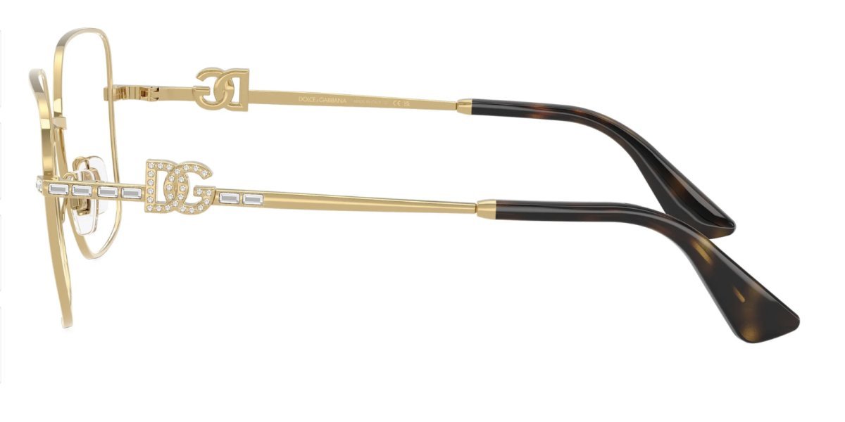Dolce & Gabbana DG1367B 02