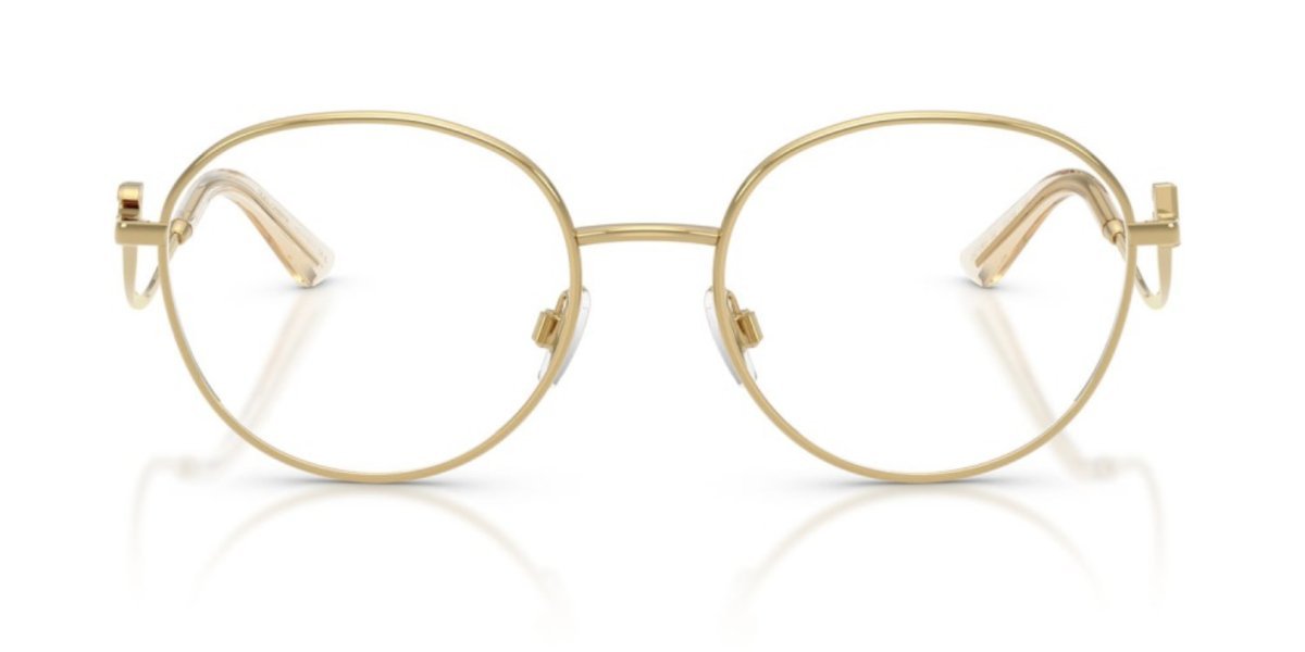 Dolce & Gabbana DG1365 02